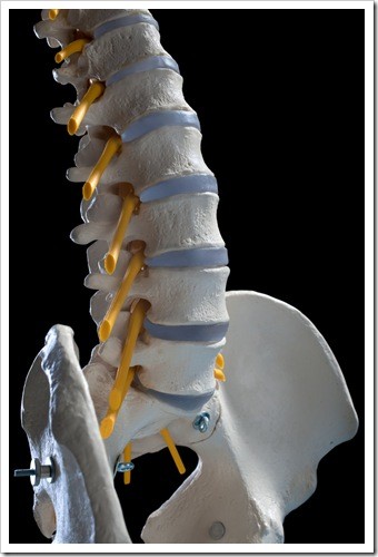 Herniated Disc and Back Pain Limerick PA