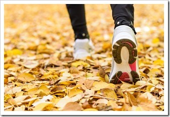 Limerick PA Walking and Chiropractic Wellness